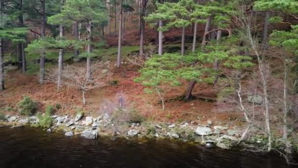 Drone Shot Homme Marchant Sur Bord Lac Irlande Rurale — Video