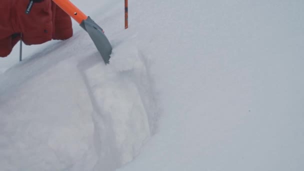 Турист Копает Снежный Слой Проверить Профиль Снега Лавину Опасности Закрыть — стоковое видео