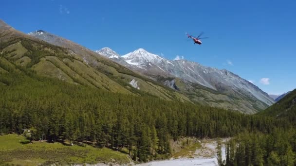 ヘリコプターの空中撮影木の上を飛んでいます 背景に山の緑の森と青空にヘリコプター低飛行 — ストック動画