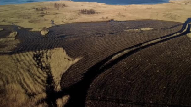 Luchtfoto Van Het Meer Overwoekerd Met Bruin Riet Meer Pape — Stockvideo