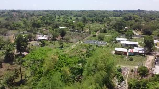 Drone View Velden Dominicaanse Republiek Video — Stockvideo