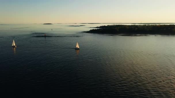 Letecký Letoun Pohled Plachetnici Zálivu Finska Během Letní Zlaté Hodiny — Stock video