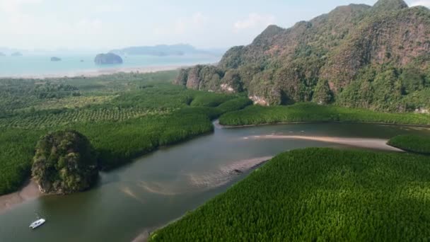 Thalane Mangroves River Low Tide Sandbar Large Mountains Krabi Thailand — 비디오