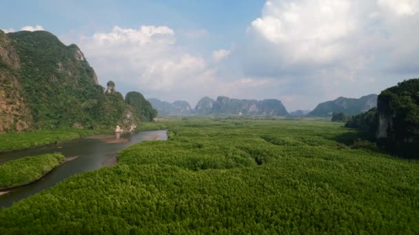 Дрони Пролітають Над Талан Мангровими Лісами Річкою Крабі Таїланд Сонячний — стокове відео