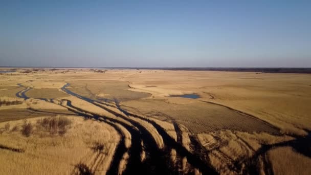 Luchtfoto Van Het Meer Overgroeid Met Bruin Riet Meer Pape — Stockvideo