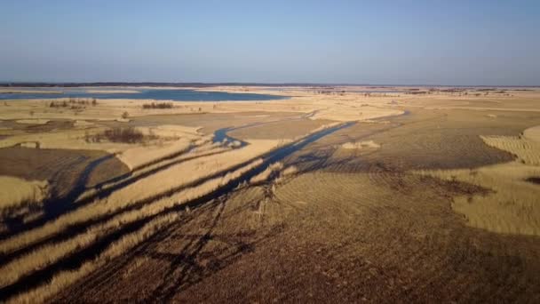 Aerial View Lake Overgrown Brown Reeds Lake Pape Nature Park — Vídeos de Stock