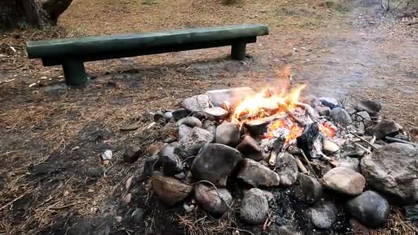 自然の中でたき火 メンバーと灰の中に森があります 岩に囲まれた小さなキャンプファイヤーのたき火 — ストック動画