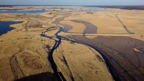 Aerial View Lake Overgrown Brown Reeds Lake Pape Nature Park — Stok video