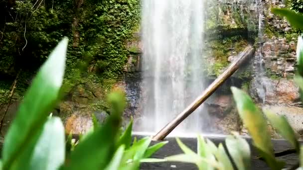 Şelalenin Güzel Manzarası Yaprakların Arkasında Siyah Kayalar Arasındaki Büyük Şelale — Stok video