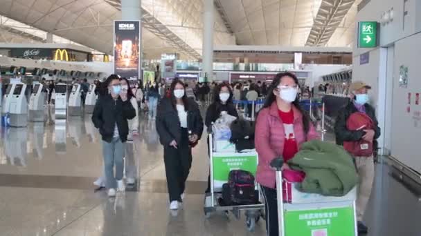 승객들은 홍콩의 항공사 체크인 사무소에서 수있다 — 비디오