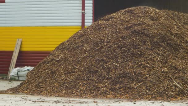 Wood Chips Industrial Boiler House Wood Particles Various Shapes Sizes — Video
