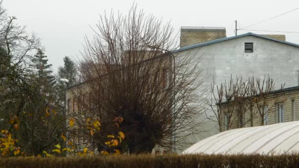 Chimneys Residential Building Overcast Sky Gray Autumn Day Cityscape Rooftop — 비디오