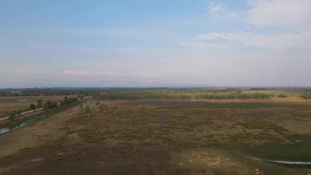 Запись Воздуха Показывающая Луга Лес Пак Пли Накорн Найок Таиланд — стоковое видео