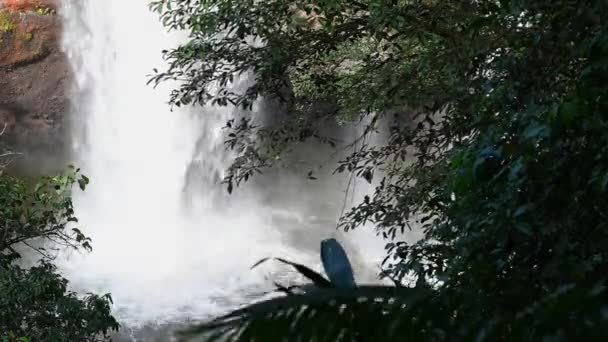 Time Lapse Waterfalls Distance Close Drop Point Heo Suwat Καταρράκτης — Αρχείο Βίντεο