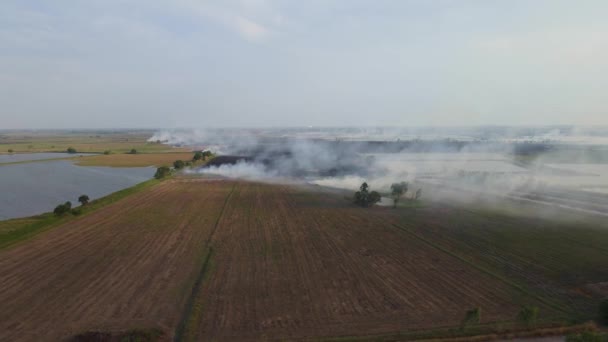 Omgekeerde Antenne Voet Van Een Brandende Landbouwgrond Voor Zover Ogen — Stockvideo