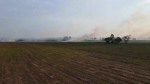 Luftaufnahmen Eines Rauchenden Brennenden Feldes Niedriger Höhe Pak Pli Nakhon — Stockvideo