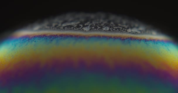 Macro Close Static Shot Soap Bubble Surface Black Background Shallow — Video