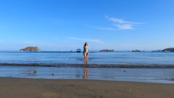 Hermosa Chica Bikini Caminando Por Playa Foto Moda Aire Libre — Vídeos de Stock