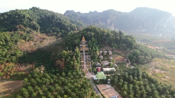 Aerial Drone Unique Temple Golden Buddha Mountain Surrounded Coconut Trees — Stock Video