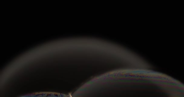 Monochromatic Shot Soap Bubbles Static Close Shallow Focus — Stockvideo