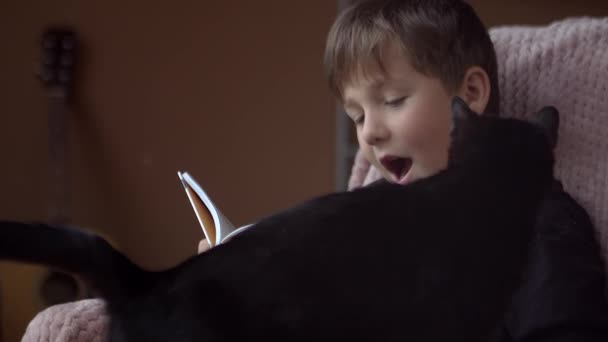 Little Boy Reading Book Chair Black Cat Comes Him — Stock video