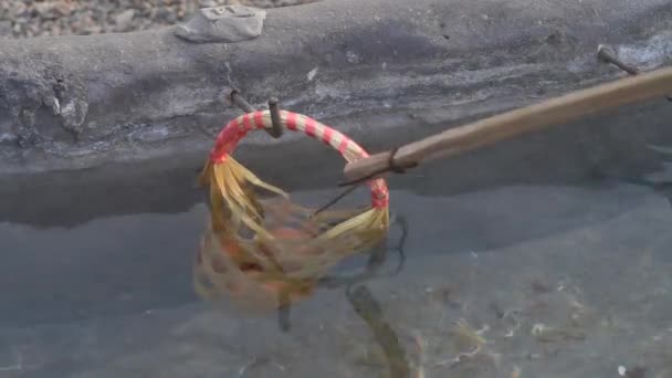 Organic Eggs Basket Being Hooked Hot Spring San Kamphaeng Hot — Vídeo de Stock