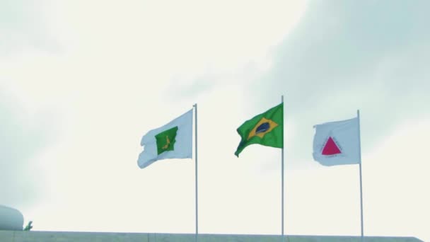 Flags Waving Cloudy Day Brasilia Left Right Brasilia Flag Brazil — Stok video