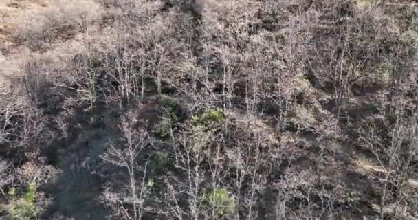 Herrliche Aussicht Auf Das Valle Del Jerte Spanien — Stockvideo