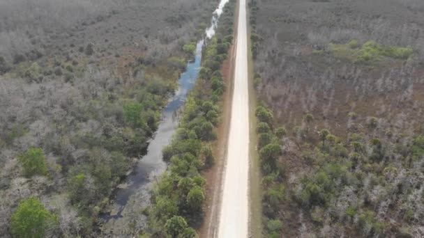 Endless Dirt Road Canal Swamp Forest Horizon Remote Everglades Big — Stock Video