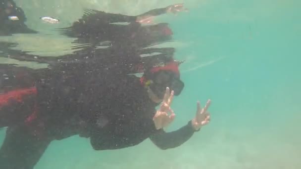Nadar Bajo Agua Acercarse Con Tortuga Marina — Vídeos de Stock