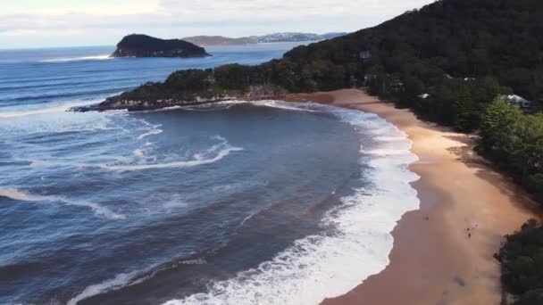 Drone Paysage Aérien Île Lion Pearl Beach Palm Beach Sable — Video