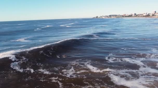 Dron Letecké Krajiny Scénický Pohled Surfaře Koni Vlnobití Sud Surfování — Stock video