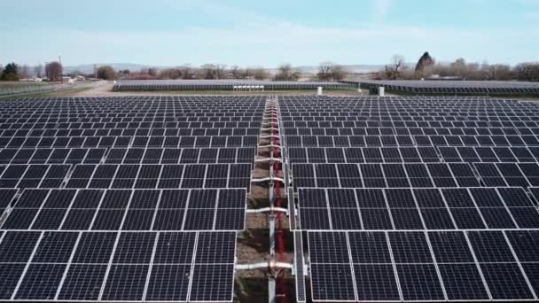 Horizontal Rows Carbon Neutral Green Energy Solar Panels Power Generation — стоковое видео