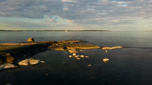 Aerial View Rocky Island Shore Birds Sailboat Helsinki Archipelago Rising — ストック動画