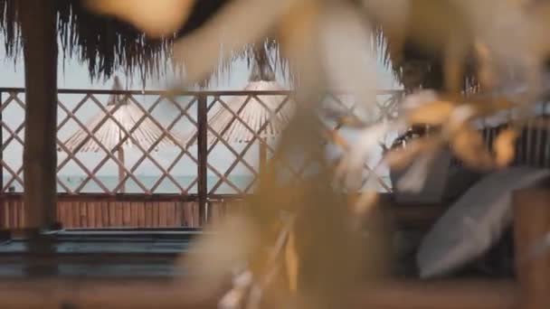 熱帯デッキフェンスとフェンスを通して見られる木製のパラソルとゆっくりと左側の過去の桜 — ストック動画