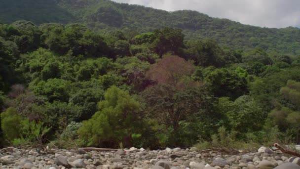 墨西哥韦拉克鲁斯州森林中一座山上的岩石 — 图库视频影像