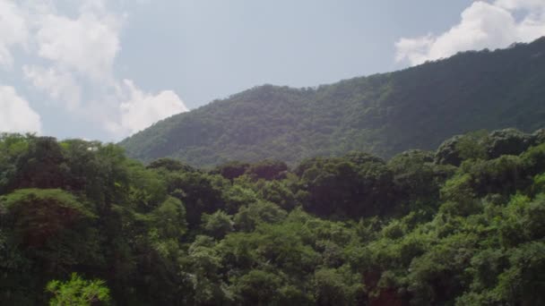 Meksika Veracruz Ormanında Bir Nehrin Yanındaki Dağ — Stok video