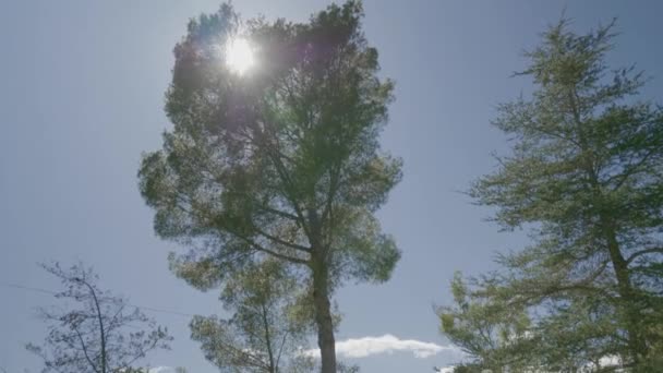 Kamera Pochyla Się Nieba Aby Odsłonić Starą Drewnianą Chatkę Wiejskiej — Wideo stockowe