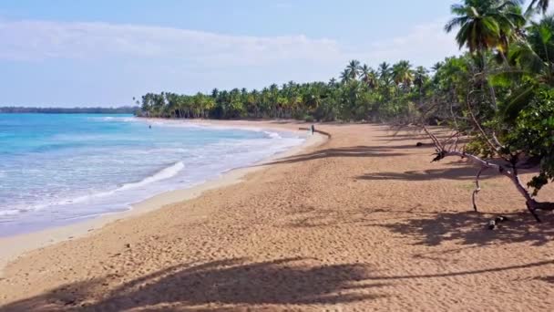 Fiskare Drar Krämer Iland Coson Beach Las Terrenas Dominikanska Republiken — Stockvideo