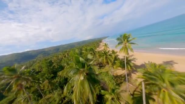 Aerial Drone Fpv Flying Playa Coson Las Terrenas Dominican Republic — Vídeo de Stock