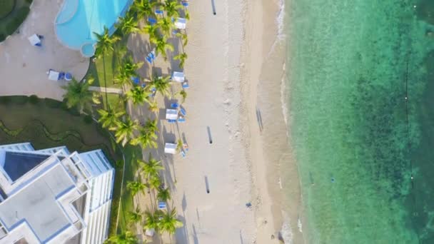 Marbella Hotel Seafront Juan Dolio Beach Dominican Republic Aerial Top — Video Stock