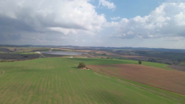 Primavera Campo Galileia — Vídeo de Stock