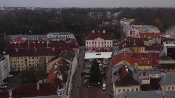 Drone Tartu Şehir Merkezini Belediye Binasını Biraz Yerel Nehri Çeker — Stok video