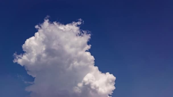 Tijdverloop Van Cumuluswolken Opgezwollen Met Lucht — Stockvideo