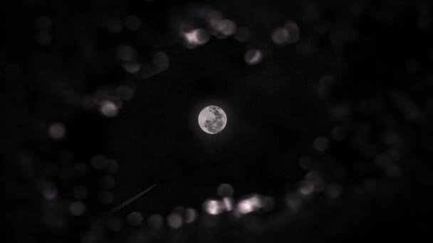 Refleksjon Jet Trails Moon Puddle – stockvideo