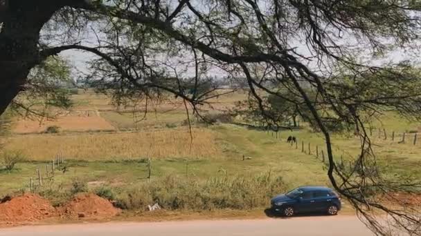 Coche Azul Estacionado Distancia Una Carretera Barro Una Luz Del — Vídeos de Stock