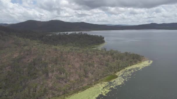 Quaids Dam Green Algae Big Mitchell Creek Reserve North Queensland — Vídeo de Stock