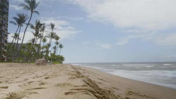 Timelapse Shot Waves Crashing Beach Evening Breezy Evening Palm Trees — ストック動画