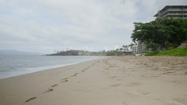 Static View Beach Condos Hotels Maui Waves Crashing Beach — Vídeo de stock