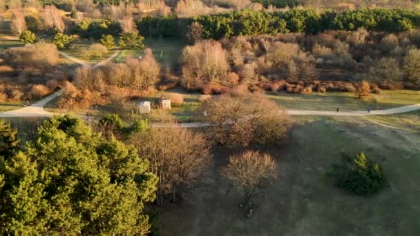 Pessoas Jogging Footpath Park Przymorze Rodeadas Por Árvores Outono Gdansk — Vídeo de Stock